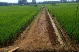 Mukomuko targetkan pembangunan jalan usaha tani tuntas Oktober