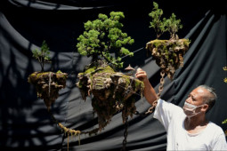 Bonsai melayang jadi topik viral
