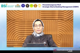 Sri Mulyani: DPK bank syariah tumbuh lebih tinggi dibanding konvensional