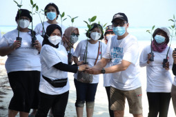Teleperformance Indonesia tanam 2.000 bibit mangrove di Kepulauan Seribu
