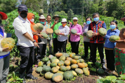 Pemprov Kalbar dukung perempuan hadirkan ketahanan pangan keluarga melalui P2L