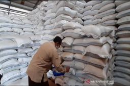 Masa pandemi cadangan pangan harus dioptimalkan