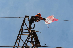 PLN Jatim-Bali turunkan 37 layang-layang ganggu jaringan di Madura