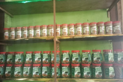 Lewat inovasi, petani milenial Sumut sukses kembangkan produk herbal