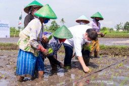 Minister supports smart farming program for millennial farmers