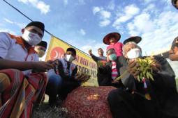 Perjuangkan petani garam dan cabai, PKS Jatim beri instruksi pengurus