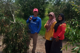 Forkom KPM lakukan pengembangan kapasitas masyarakat budidaya pohon kayu putih di lahan eks tambang