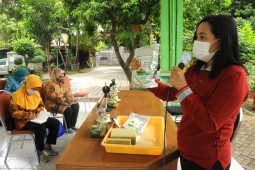 Budi daya tanaman hidroponik, upaya pemulihan ekonomi di Surabaya