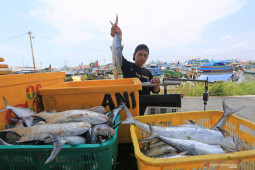 Pembatasan tangkap ikan harusnya hanya untuk industri besar