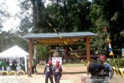 Saving the world's oxygen source from fading away