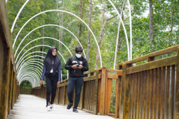 Eco Wisata Mangrove Mimika perketat prokes bagi wisatawan