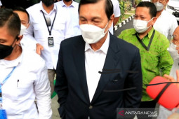 Menko Luhut tegaskan tidak terlibat bisnis tambang di Papua