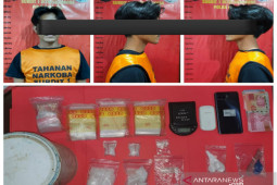 Peredaran narkoba rambah pedesaan di Kalsel