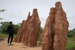 Kapsul waktu hingga rumah semut raksasa ada di Kabupaten Merauke