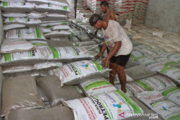 Realisasi penyaluran pupuk bersubsidi Aceh baru 62 persen