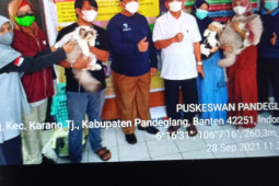 Pemkab Pandeglang optimistis bisa bebas rabies tahun 2030