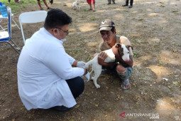 Garut vaksinasi hewan peliharaan untuk cegah bahaya rabies