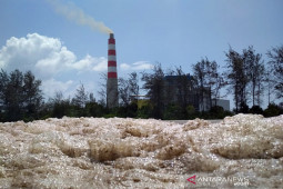 Pengamat : Kenaikan harga batu bara jangan sampai ganggu pembangkit PLN