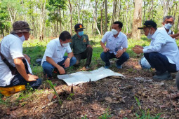 Perhutani  kawal serius program agroforestry tebu di Jatim