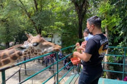 Wisata Kebun Binatang Surabaya siap diuji coba untuk  buka