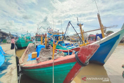 Tangkapan ikan nelayan Aceh Timur turun hingga 20 ton per hari