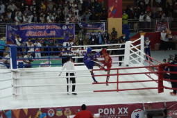 PON Papua - Wasit muaythai laga Aceh versus Papua terkena pukulan nyasar