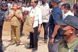 Presiden minta Provinsi Papua Barat tingkatkan produktivitas pertanian