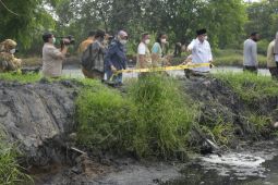 Wagub Jabar hentikan operasional pabrik tepung tapioka di Karawang, ini alasannya