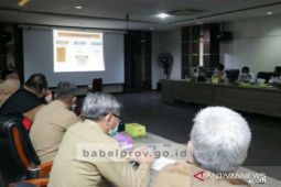 Gubernur Erzaldi: Babel siap impor sapi dari Australia