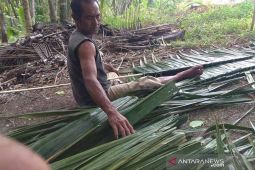Pengrajin kurang, harga atap rumbia di Simeulue semakin meningkat