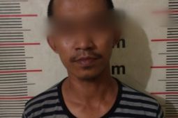 Polsek Stabat tangkap penganiaya ibu rumah tangga