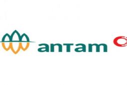Antam maksimalkan pemanfaatan EBT