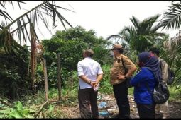 BBKSDA Sumut akan trans lokasi monyet liar di Tebing Tinggi