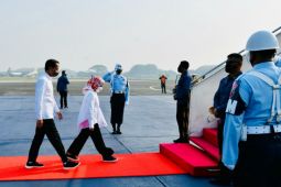 President Jokowi to observe mangrove planting, G20 Summit venues in Bali