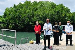 Presiden Jokowi ingin daerah lain mencontoh rehabilitasi mangrove Bali