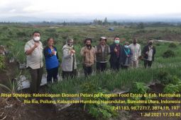 Penelitian strategis dukung program Kementerian Pertanian