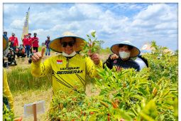 Gubernur Kalsel dorong peningkatan produktivitas pertanian