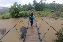 Akses jalan desa terisolir di Jambi