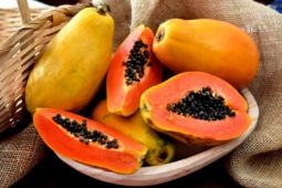 Tak hanya buah, biji pepaya juga miliki manfaat positif bagi tubuh