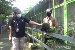 Empat tempat wisata di Madiun terapkan aplikasi PeduliLindungi
