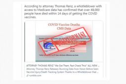 Mafindo : Indonesia melawan hoaks COVID-19 sejak akhir 2020