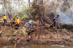 Luas lahan terbakar di Aceh Barat bertambah jadi 2,2 hektare