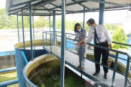 Perumda Air Minum Tirta Sintang sehat dan berprestasi