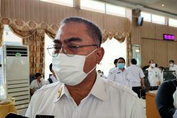 Bappeda : Kalsel berpeluang jadi "Jabarnya DKI"