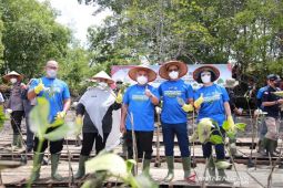 Momentum 21 tahun Indika Energy, Kideco tanam ribuan mangrove