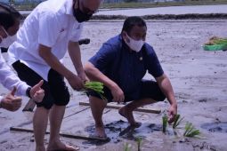 Rachmat Gobel minta kredit macet di bawah Rp10 juta diputihkan