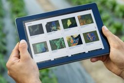 Perlunya perangkat lunak  untuk "environmental intelligence"