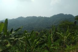 Kawasan hutan Pangkalan Karawang jadi lokasi praktikum kampus Unsika