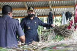 Bupati Kapuas Hulu resmikan pusat pertanian organik terpadu