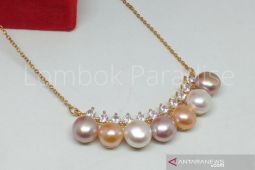 Alumnus IPB sukses usaha mutiara hingga AS